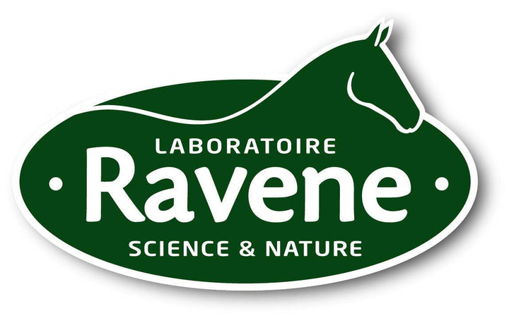 Ravène