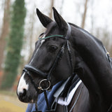 Passier fantastic snaffle bridle