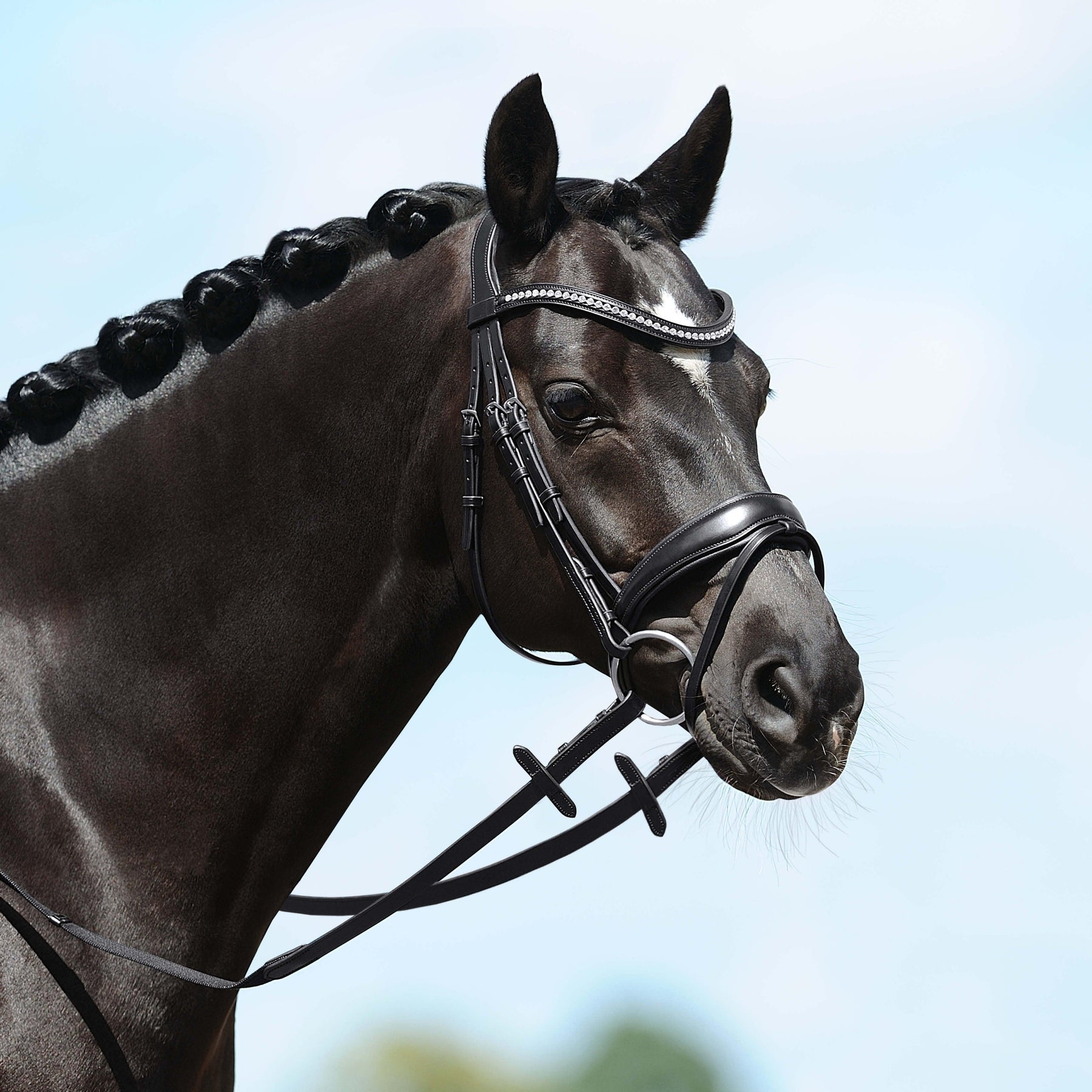 Passier Passierblu spirit snaffle bridle
