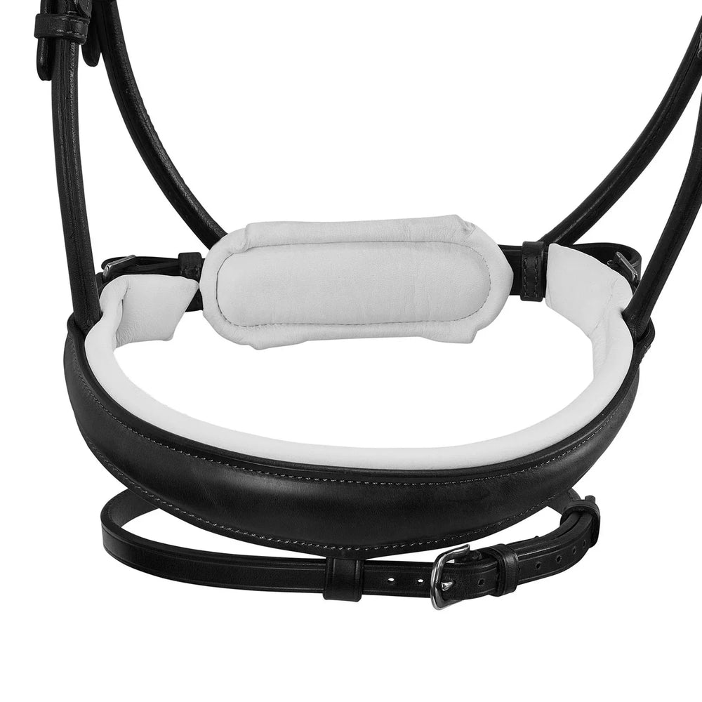 Acavallo poesia bridle