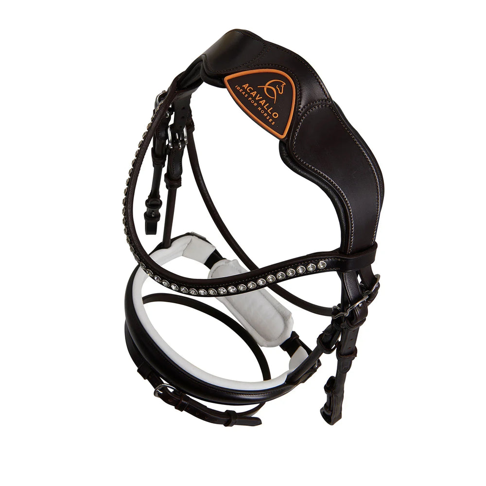 Acavallo poesia bridle