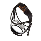 Acavallo poesia bridle