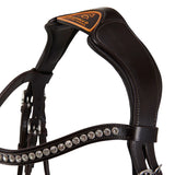 Acavallo poesia bridle