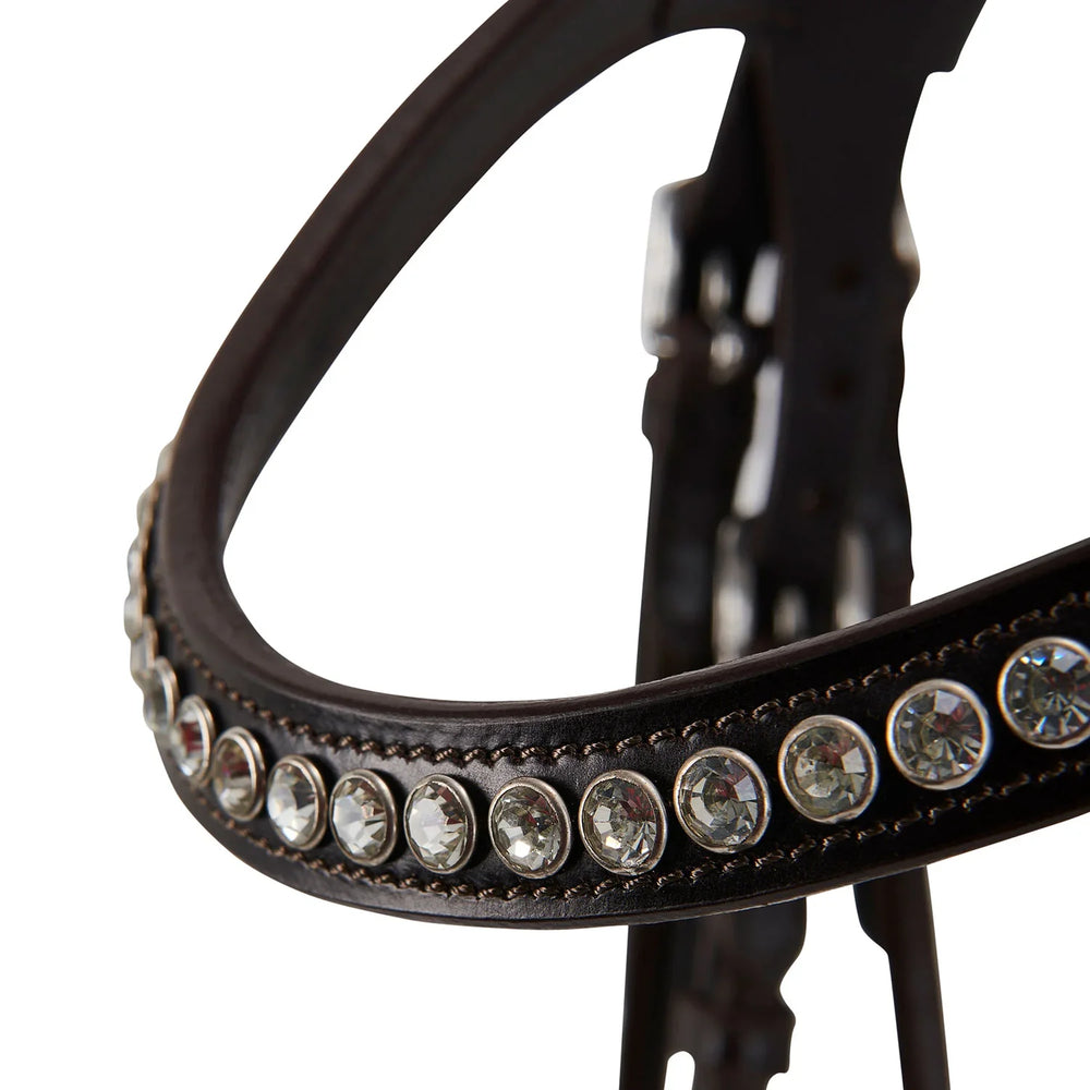 Acavallo poesia bridle