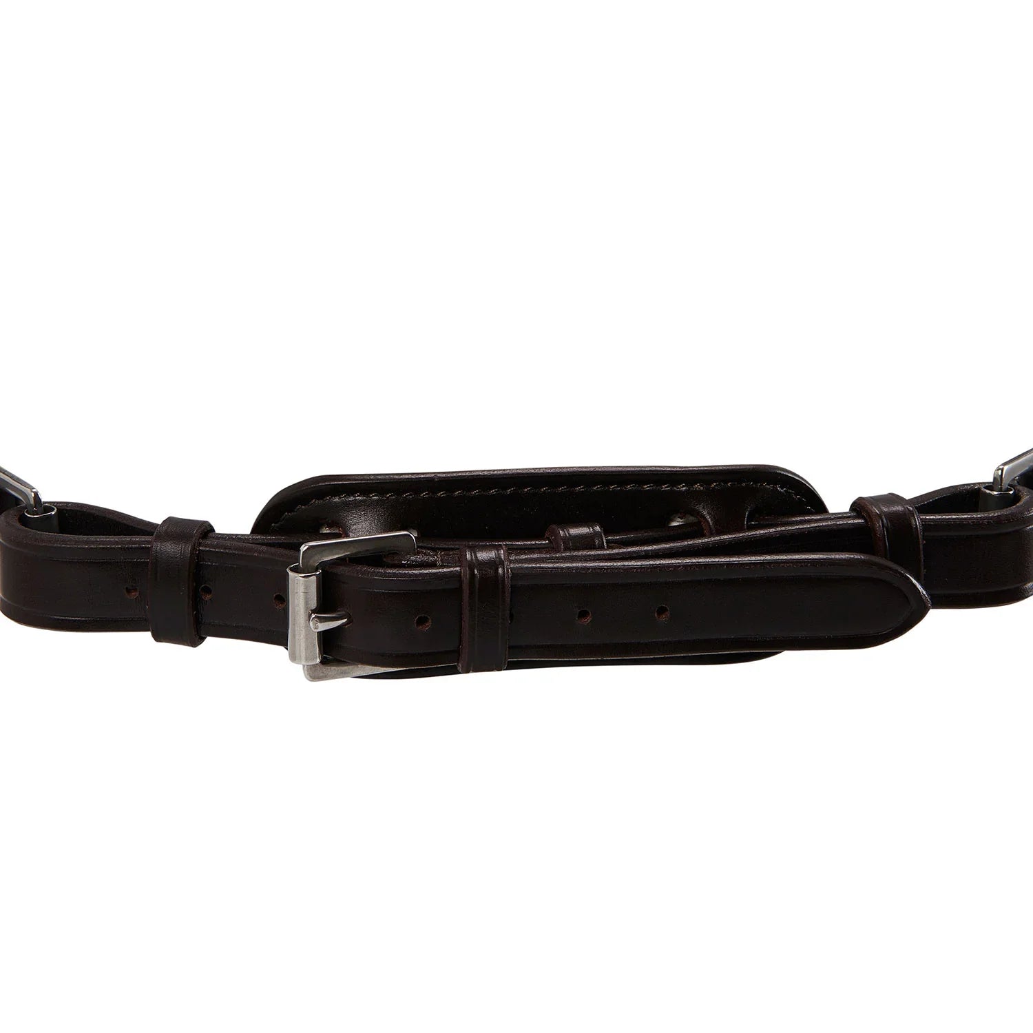 Acavallo poesia bridle