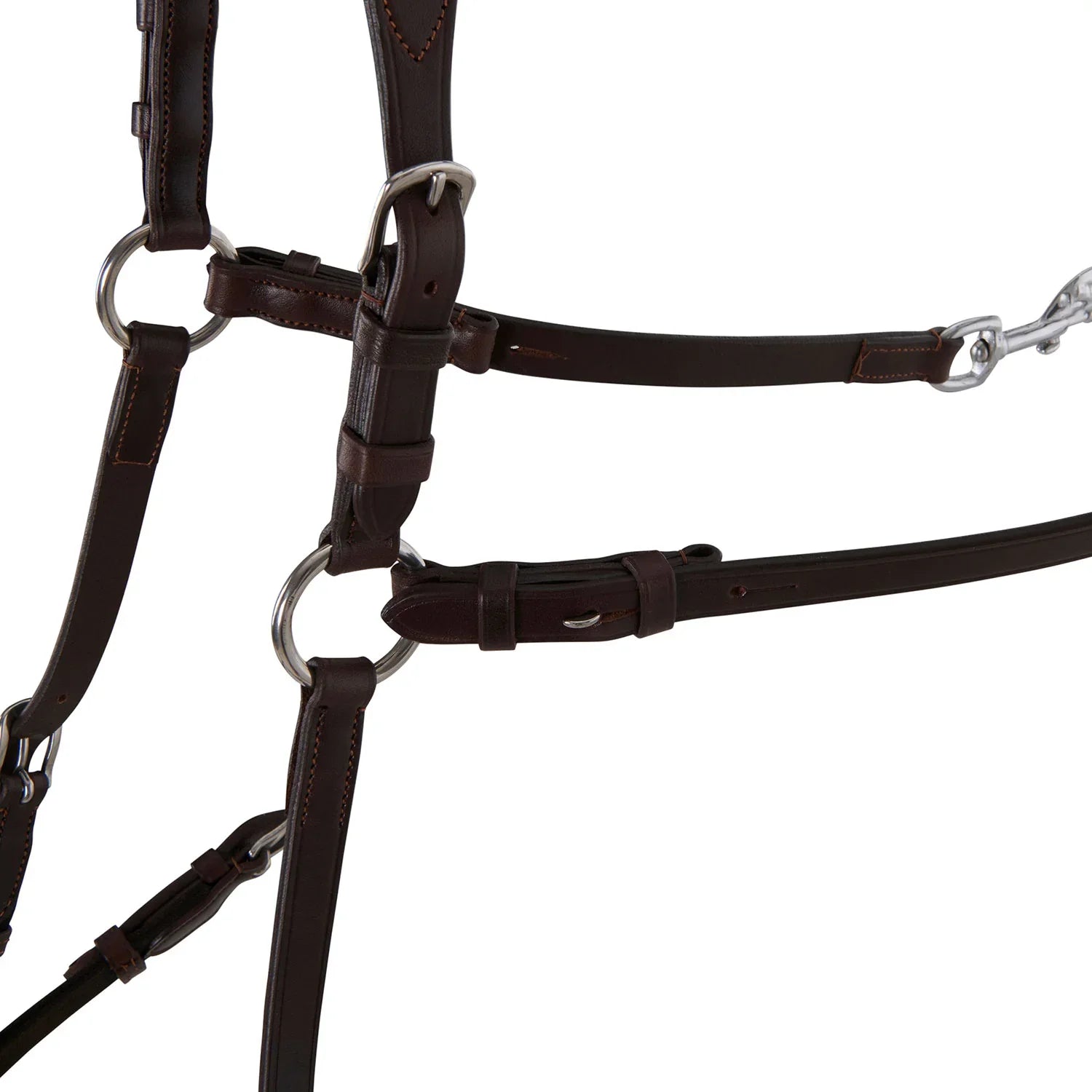 Acavallo five point breastplate calfskin AC 9600
