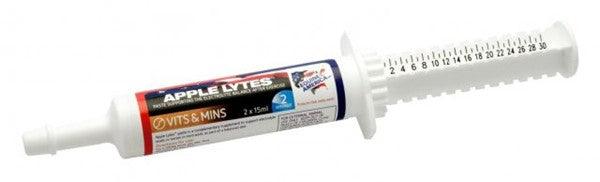 Equine America apple lytes paste