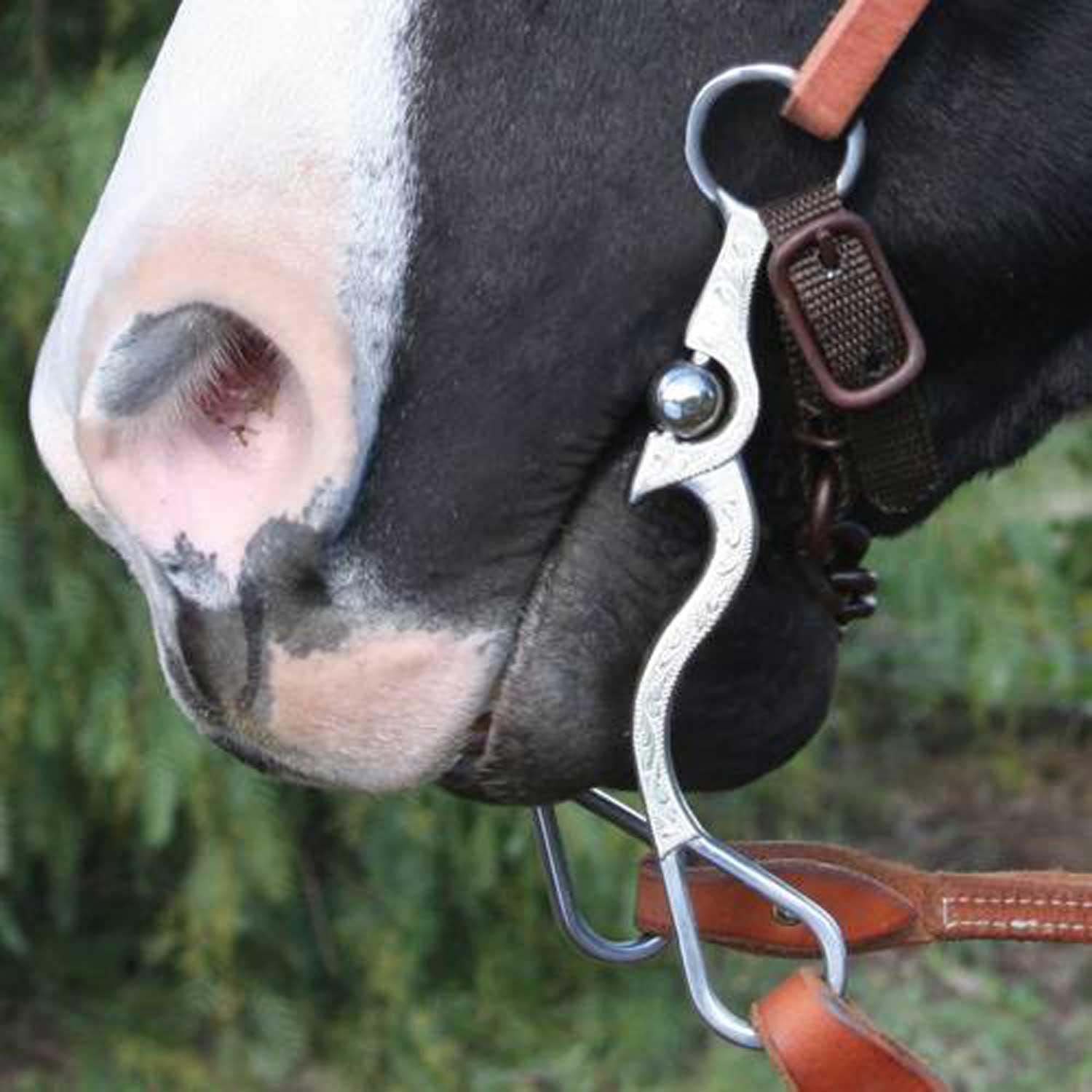 Professional"s choice santa maria avb-170 western bit