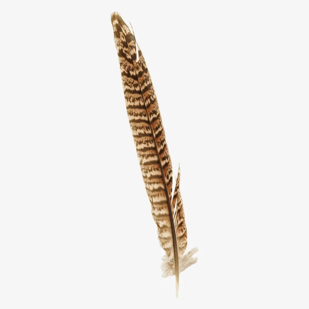 American hat makers ringneck vivid hat feather
