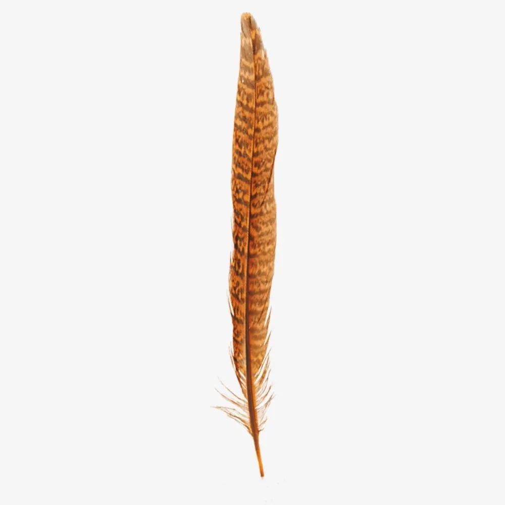 American hat makers ringneck vivid hat feather
