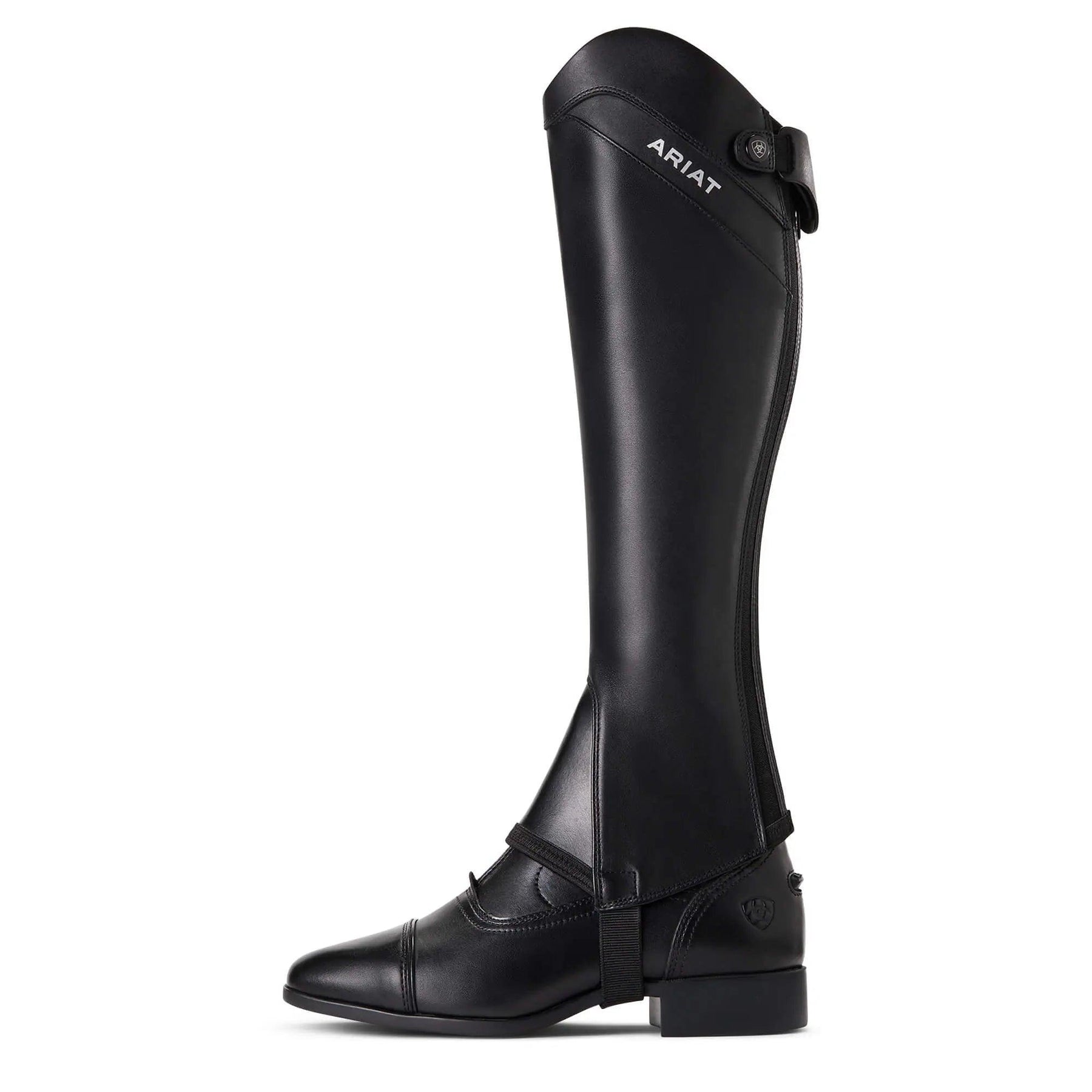 Ariat Palisade half chap Ariat
