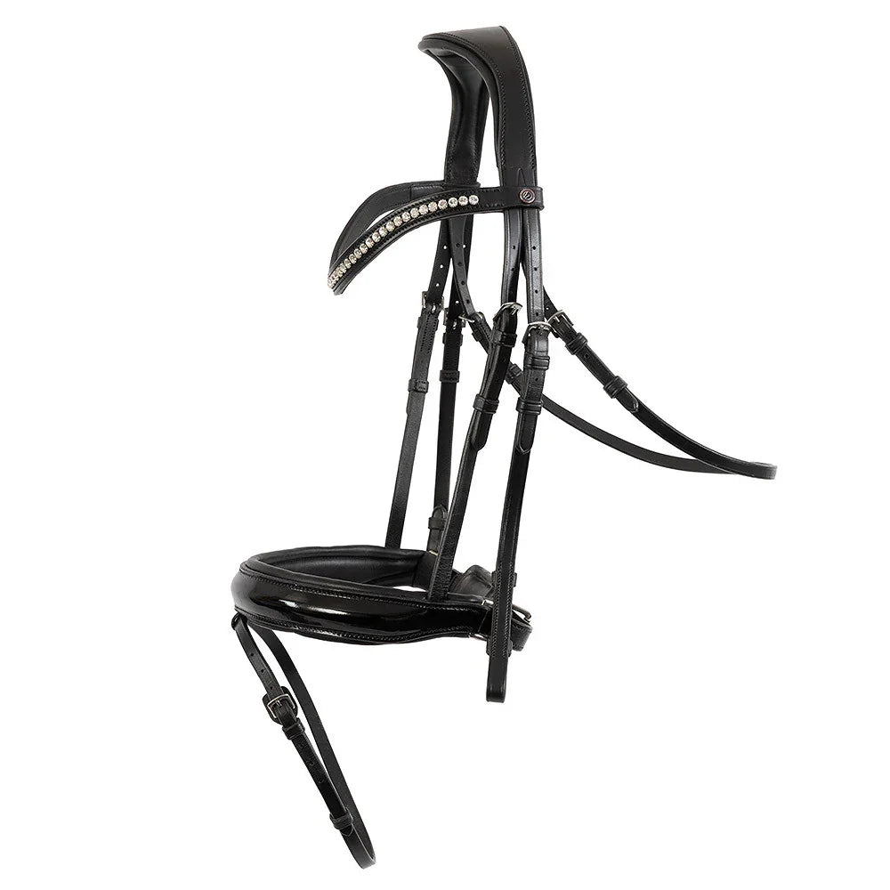 Trust Basel bridle