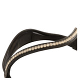Trust Basel bridle