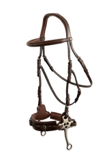 Trust Sopot bridle