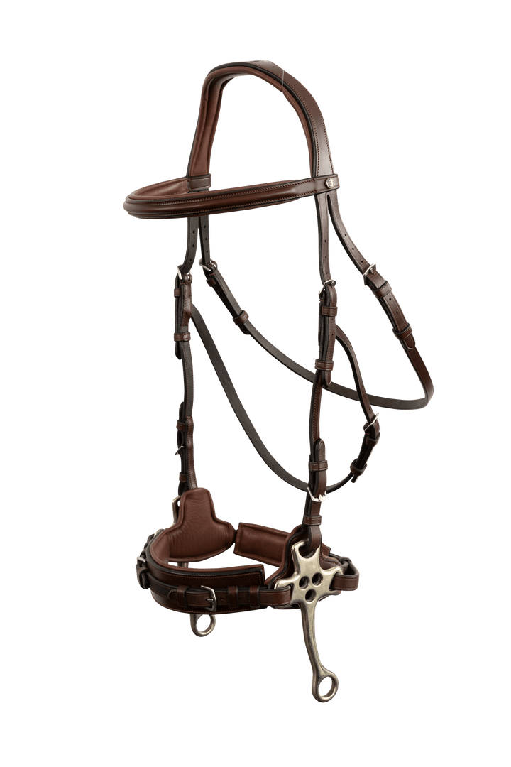 Trust Sopot bridle