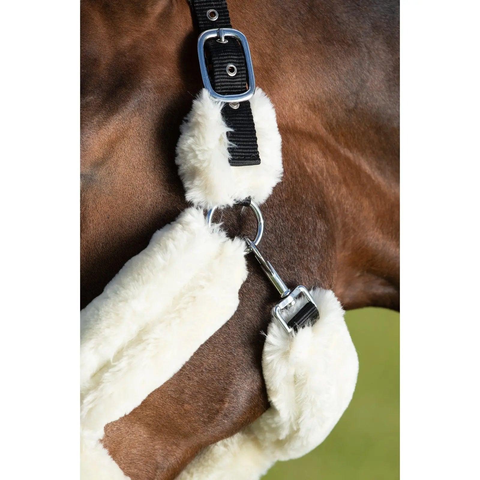 HFI cosy halter HFI