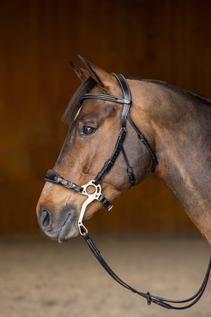 HFI hackamore bridle - HorseworldEU