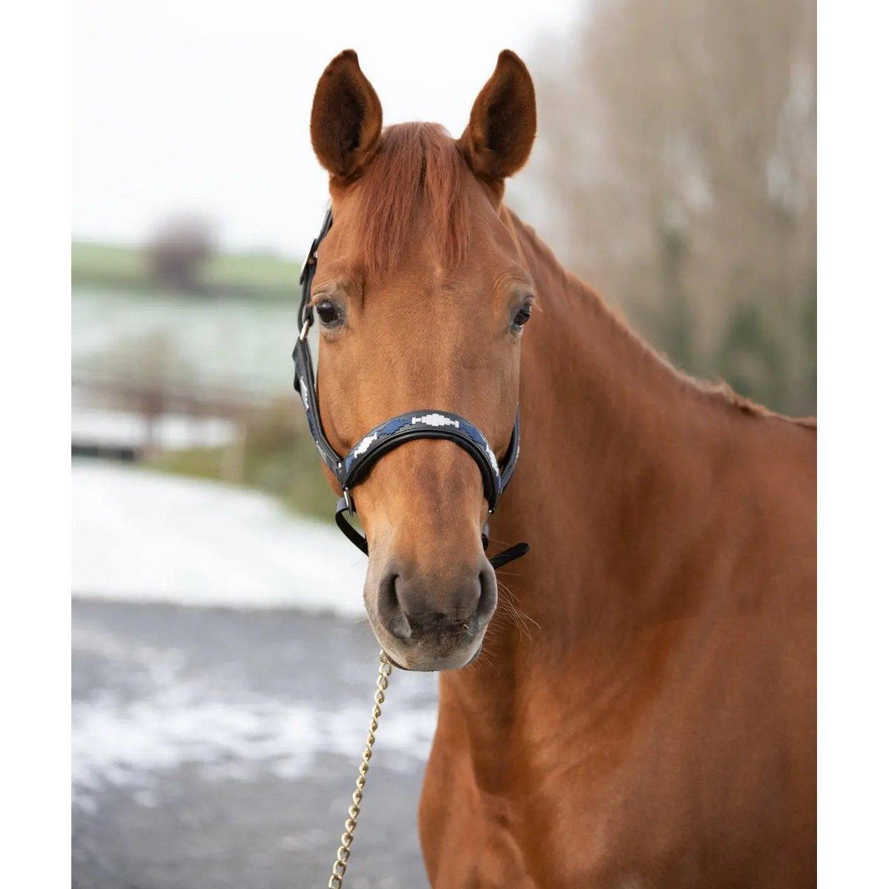 HFI polo halter HFI