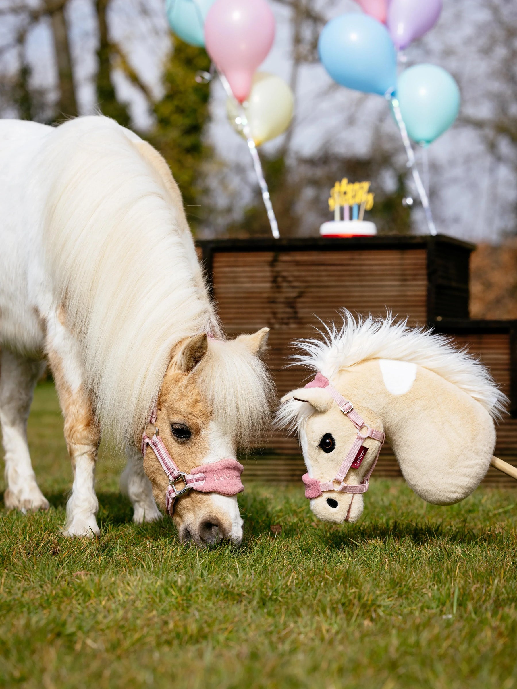 LeMieux hobby horse lemon
