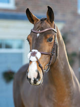 LeMieux Arika Grackle bridle - HorseworldEU