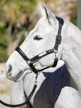 LeMieux capella headcollar - HorseworldEU
